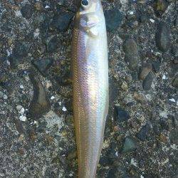 白灯台にて今年はじめてのキス ＼(^o^)／