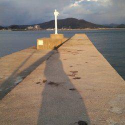 田ノ浦漁港のコウイカ、ラトル入りのエギでキャッチ