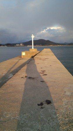 田ノ浦漁港のコウイカ、ラトル入りのエギでキャッチ