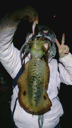 ぐぃぃー!!とアオリ特有の強い引き☆串本大島でのエギング