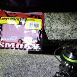 激流でもメバルは釣れるか検証してみました