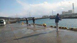 ただいま日高港にて夕方にカマス釣れてます♪