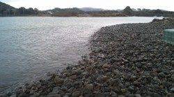 ミノーで今年初シーバスGET！南塩谷