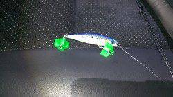 貝塚でシーバス50upと60upをキャッチ