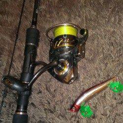 貝塚シーバス釣行　超デッドスローで待望のヒット！