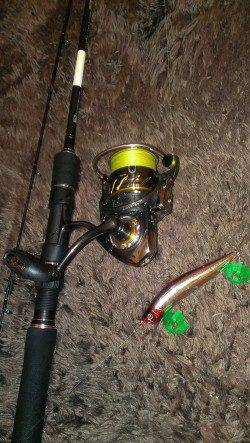 貝塚シーバス釣行　超デッドスローで待望のヒット！