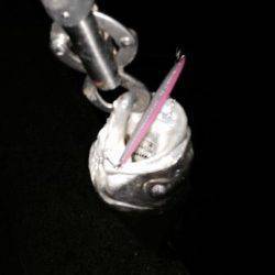 アフターシーバス楽しいです♪