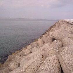 泉佐野〜淡輪ランガン、穴釣りで良型ガシラ&アイナメに満足