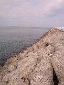 泉佐野〜淡輪ランガン、穴釣りで良型ガシラ&アイナメに満足