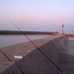 淡路島ファミリーフィッシング☆育波で投げ釣り&メバリング