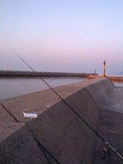 淡路島ファミリーフィッシング☆育波で投げ釣り&メバリング