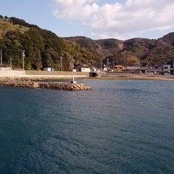 柏漁港　子供連れのメバリングでメバル＆ガシラ　良型もヒット☆