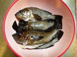 沖目でバイトが集中〜須磨メバリング好調