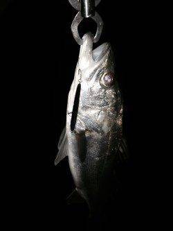 汐見埠頭でシーバス、口の中バチだらけでした！