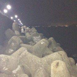 姫路西部エリアでメバリング、夜の11時頃から時合突入