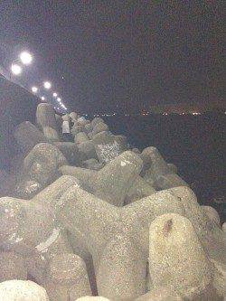 姫路西部エリアでメバリング、夜の11時頃から時合突入