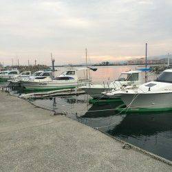 樽井漁港で短時間メバリング　良い引きのメバルでした