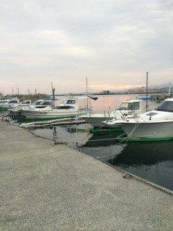 樽井漁港で短時間メバリング　良い引きのメバルでした