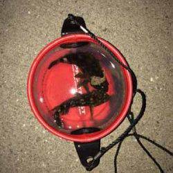 中島埠頭　メバリング釣行でサイズは不満も本命ゲット