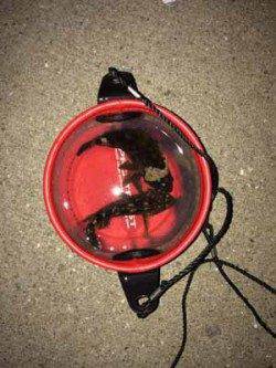 中島埠頭　メバリング釣行でサイズは不満も本命ゲット