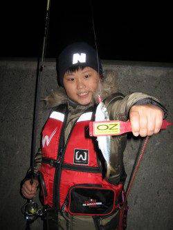 南紀方面でアジング、お子様も簡単にゲット！