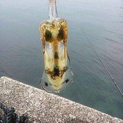 南紀のエギング、串本まで走りアオリキャッチできました