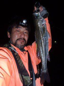 貝塚プラッキング釣行、メバルタックルで50upのシーバスも♪