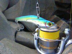 栖原でシーバスルアーゲーム、バイブで見事GET！