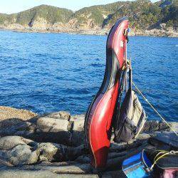 周参見の磯でグレの釣果