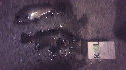 谷川漁港周辺メバリング、潮の当たるブレイク＋敷石＋ウィードがポイント