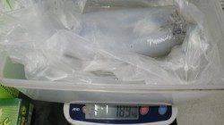 白浜町市江にてヤエン釣り〜アオリイカ1.89kg