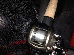 田ノ浦でガシラ狙い、ベイトフィネスで岩礁帯の根元へキャスト