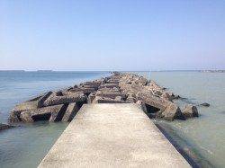 日高川河口シーバス、ワームでの釣果