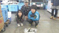 芳養堤防でのファミリーサビキ釣果