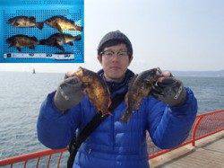 平磯海づり公園、投げ釣りで最大24cmまでのメバルの釣果☆