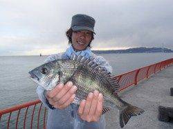 平磯海釣り公園　午後からのウキ釣りでチヌ39cm