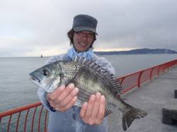 平磯海釣り公園　午後からのウキ釣りでチヌ3…