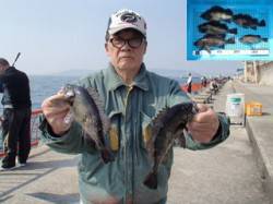 平磯海釣り公園　落とし込みでメバル〜25.…