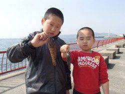 平磯海づり公園　お子様がアイナメ・メバルをゲットです