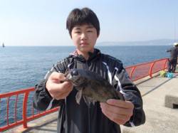 胴突で良型メバルだ！　平磯海づり公園