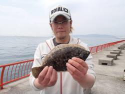 平磯海づり公園、投げ釣りでカレイ32cmを…