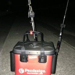 大蔵海岸 東側テトラにて、底ただ引きでガシラ