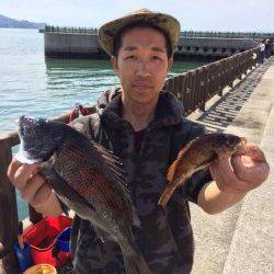 マリーナシティー釣り公園、オキアミフカセでチヌ・メバル