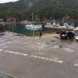 市江や見草漁港の外灯周りをカマス狙いでランガン