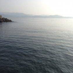 雑賀崎　エギング釣行でコウイカ2ハイ☆