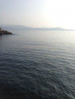 雑賀崎　エギング釣行でコウイカ2ハイ☆