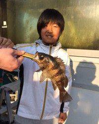 マリーナシティ海釣り公園サビキで豆イワシ・メバル♪