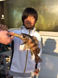 マリーナシティ海釣り公園サビキで豆イワシ・メバル♪