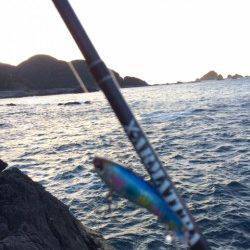 すさみ港、ビックカマス連発!カマス独特アタリ…たまりません!!