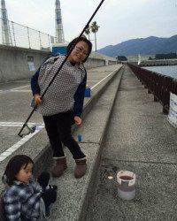 マリーナシティ海釣り公園、イワシも釣れています